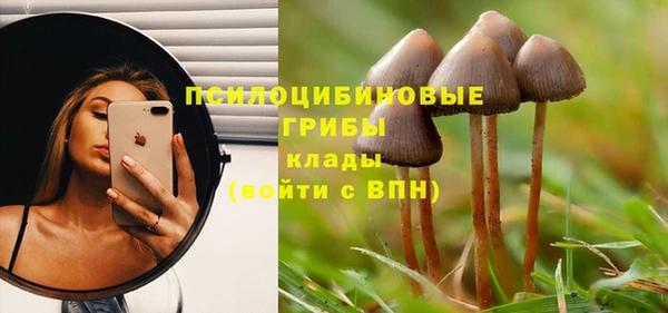ALPHA-PVP Михайлов