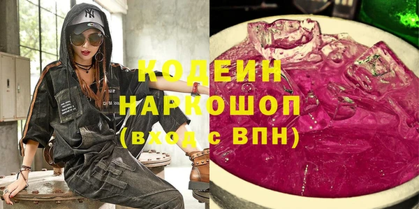 индика Себеж