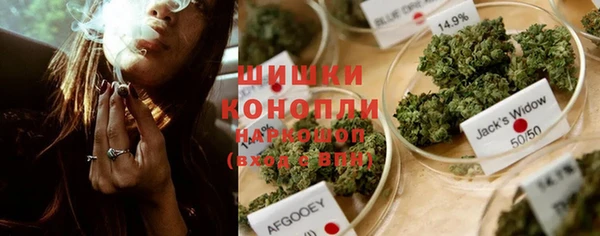 хмурый Северо-Курильск