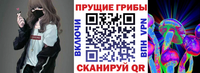 хочу Шимановск ОМГ ОМГ tor это состав Псилоцибиновые грибы ЛСД